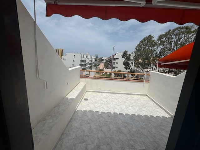 Los Cristianos, Primavera