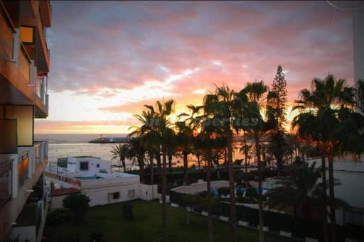 [21751] Los Cristianos, Comodoro