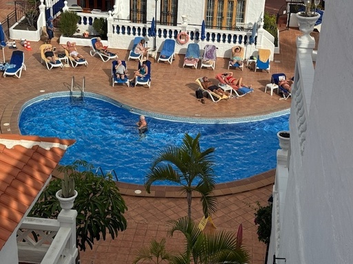 [013] Royal Palm, Los Cristianos